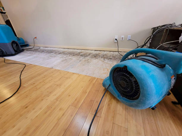 Professional Water Damage Repair technician working in Webster, MN